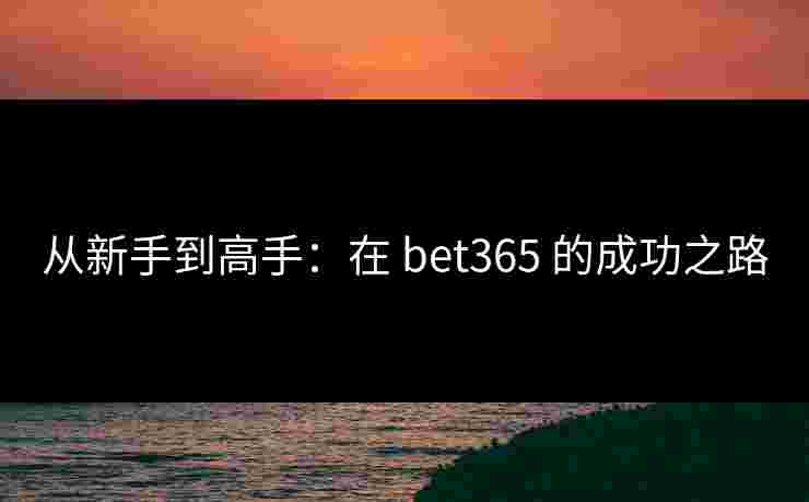 从新手到高手:在 bet365 的成功之路 从新手到高手:在 bet365 的成功之路